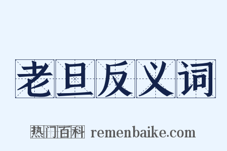 老旦反义词是什么意思的图片